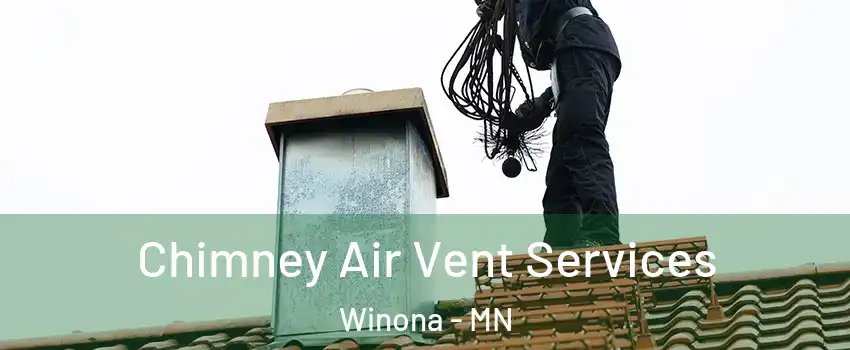  Chimney Air Vent Services Winona - MN
