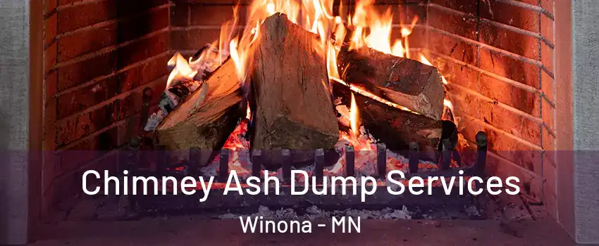  Chimney Ash Dump Services Winona - MN