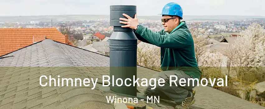  Chimney Blockage Removal Winona - MN