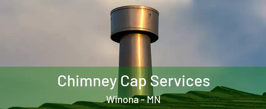  Chimney Cap Services Winona - MN