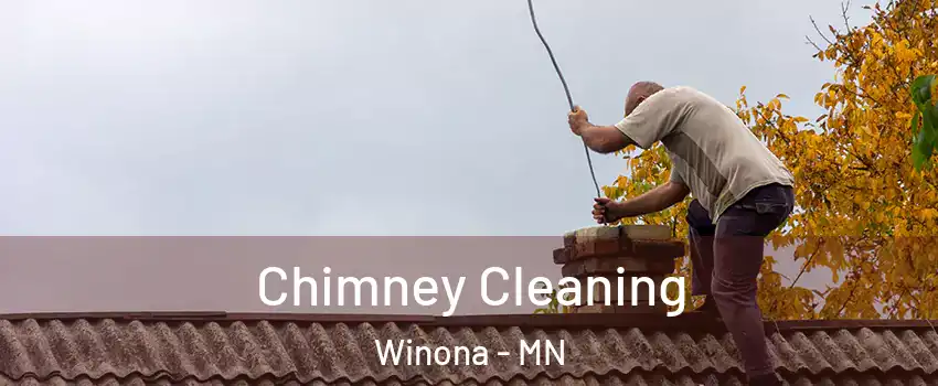  Chimney Cleaning Winona - MN