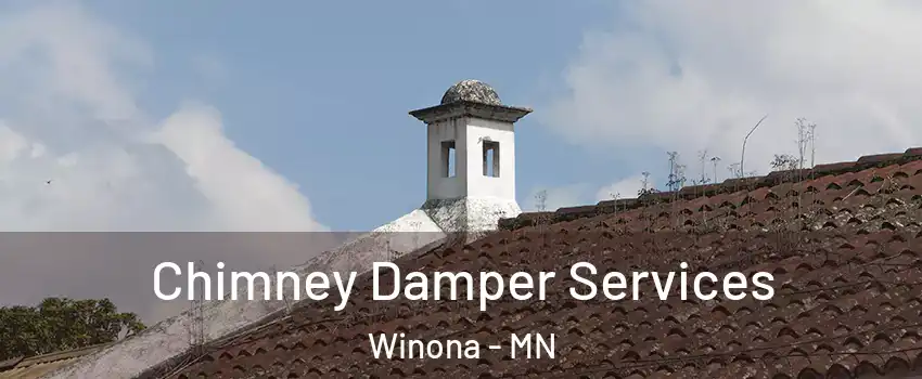  Chimney Damper Services Winona - MN