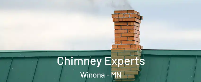  Chimney Experts Winona - MN