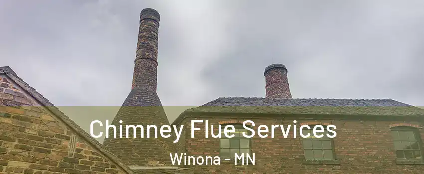  Chimney Flue Services Winona - MN
