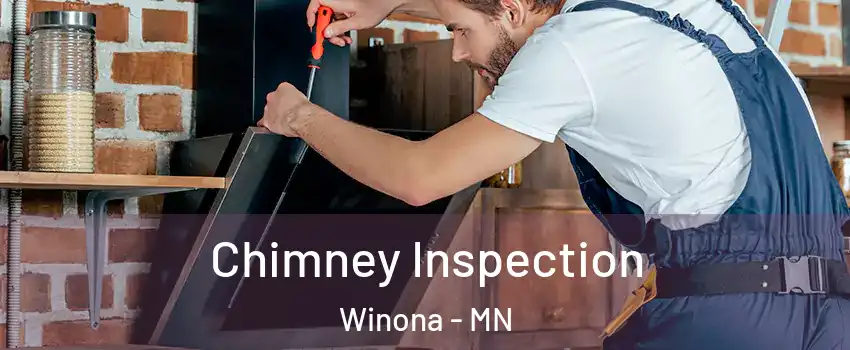  Chimney Inspection Winona - MN