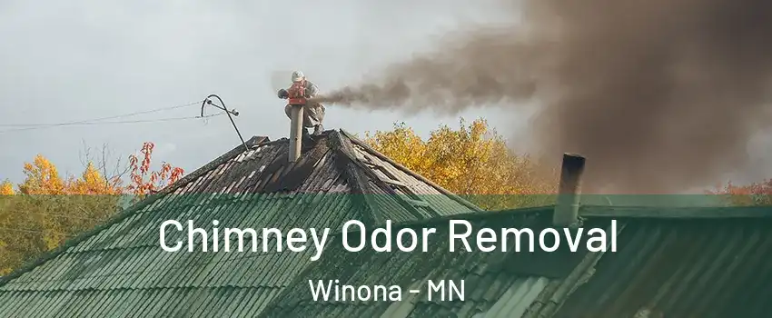 Chimney Odor Removal Winona - MN