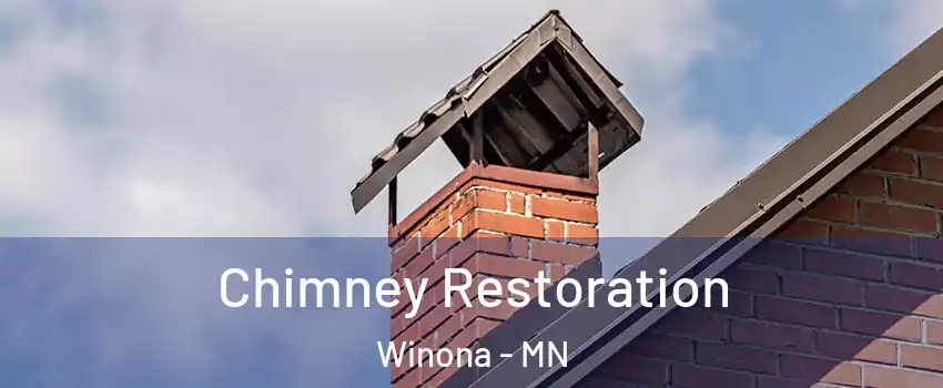  Chimney Restoration Winona - MN