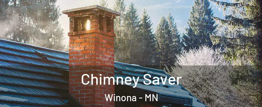  Chimney Saver Winona - MN