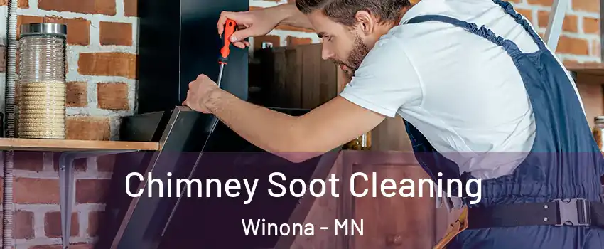  Chimney Soot Cleaning Winona - MN
