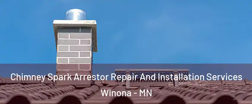  Chimney Spark Arrestor Repair And Installation Services Winona - MN