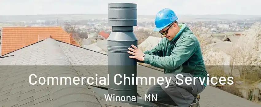  Commercial Chimney Services Winona - MN