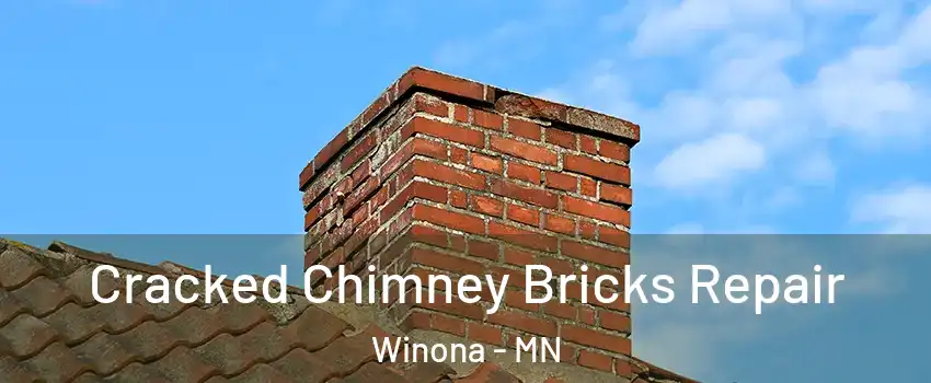  Cracked Chimney Bricks Repair Winona - MN
