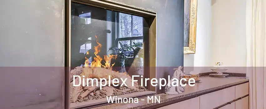  Dimplex Fireplace Winona - MN