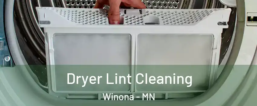  Dryer Lint Cleaning Winona - MN