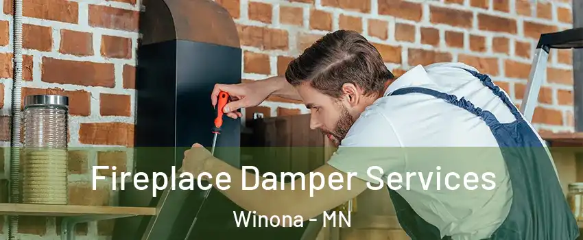  Fireplace Damper Services Winona - MN