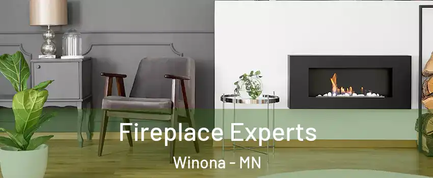  Fireplace Experts Winona - MN