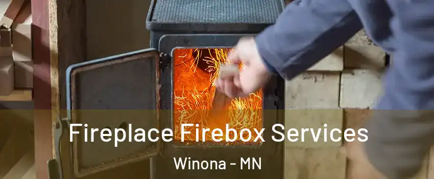  Fireplace Firebox Services Winona - MN