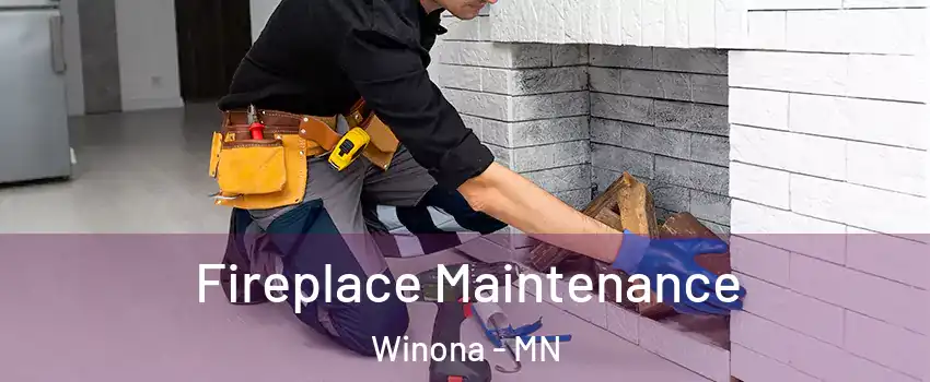  Fireplace Maintenance Winona - MN
