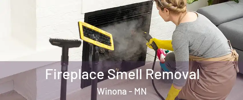  Fireplace Smell Removal Winona - MN