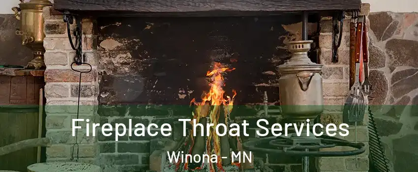  Fireplace Throat Services Winona - MN