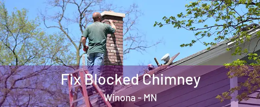  Fix Blocked Chimney Winona - MN