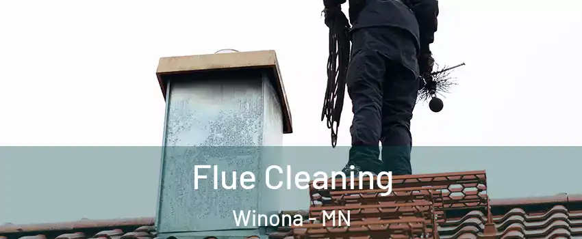  Flue Cleaning Winona - MN