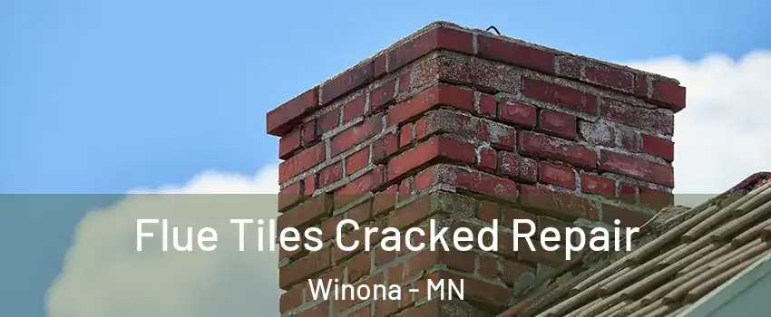  Flue Tiles Cracked Repair Winona - MN