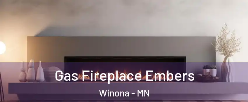  Gas Fireplace Embers Winona - MN