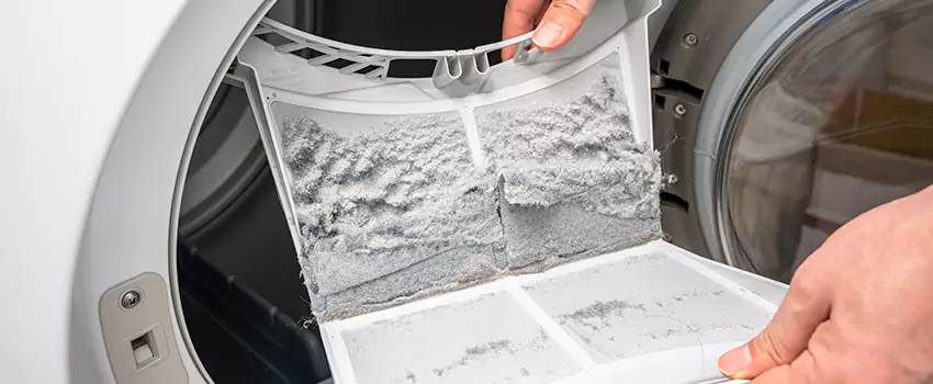 Best Dryer Lint Removal Company in Winona, Minnesota