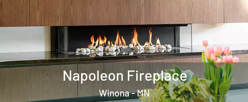  Napoleon Fireplace Winona - MN