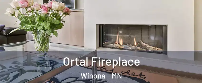  Ortal Fireplace Winona - MN