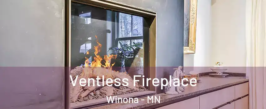  Ventless Fireplace Winona - MN